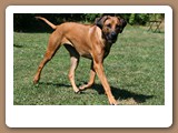 August 09 069